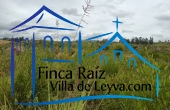 finca 18 Fanegadas-(113.459.98 M2), vereda Pedregal, Sutamarchán