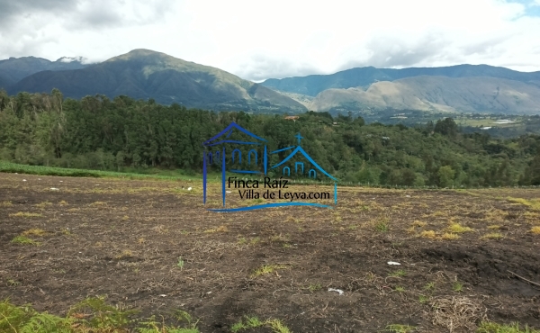 vista al cerro
