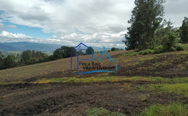 terreno semiplano