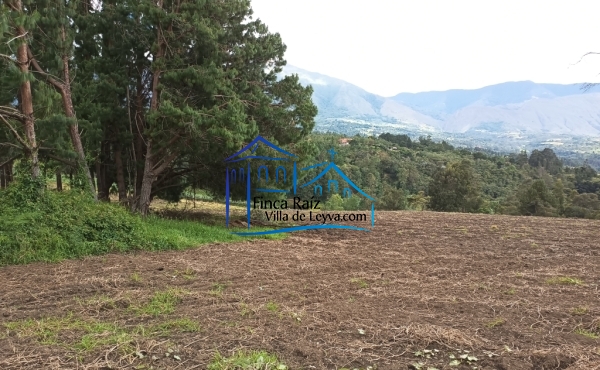 terreno plano