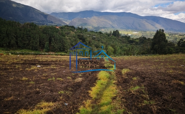 vista desde el centro de la finca