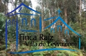 vegetación nativa