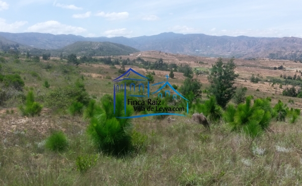 vista hacia el cerro