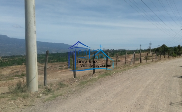 vista desde la vía 