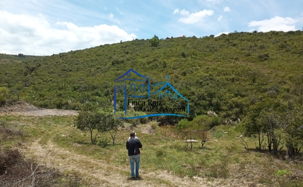 terreno levemente inclinado