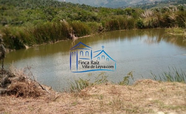 lago