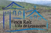 vista desde la parte baja