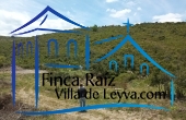 terreno levemente inclinado