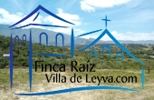 vía interna