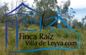 vegetación nativa