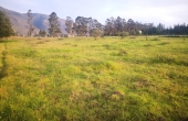 terreno plano