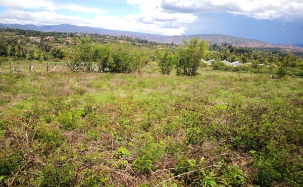 terreno plano