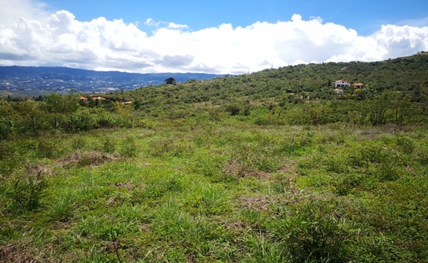 vista otro costado