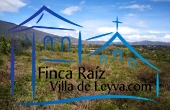 vista lateral