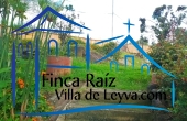 zona verde