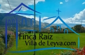zona verde