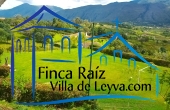 zona verde y cerca viva