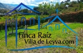 cerca viva