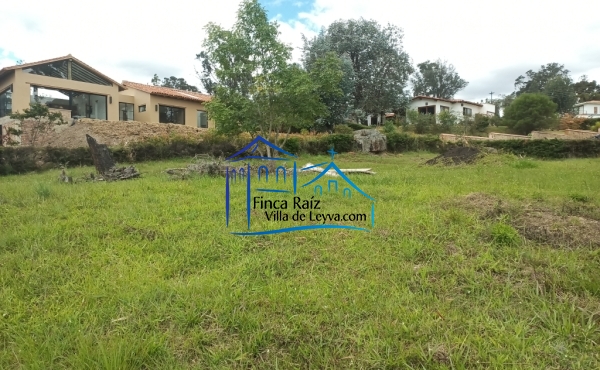 terreno semiplano