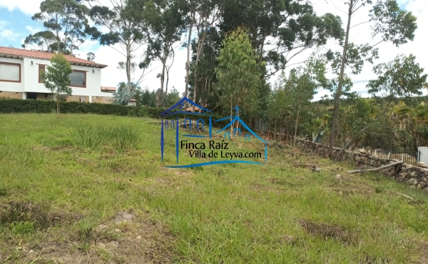 leve inclinación