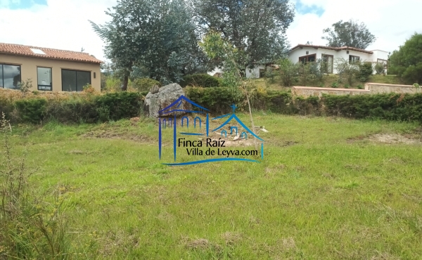 cerca viva