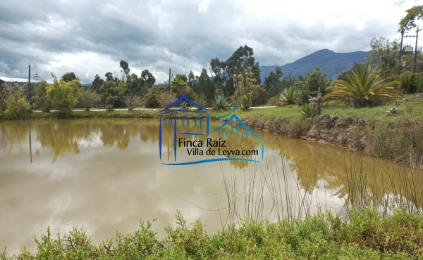 lago vecino