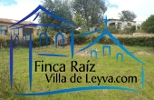 cerca viva