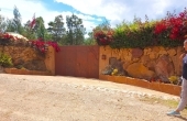 vista muro