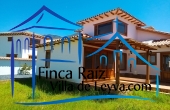vista parte posterior