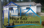 vista lateral
