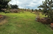 IMG_20230411_112916_319