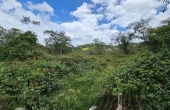 Finca  de 22.500 M2, Vereda Llano Blanco, Villa de Leyva