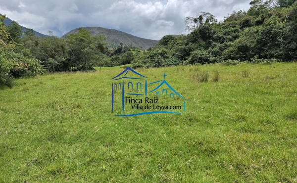 terreno plano