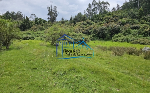 terreno plano