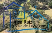 Lotes de 9.600 m2, 10.380 m2 y 17.127 m2 Vereda Sabana, sector río Cané, Villa de Leyva