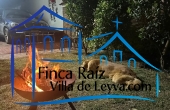 zona verde, frutales y jardín