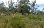 Finca de 96.000 M2, vereda Monquirá