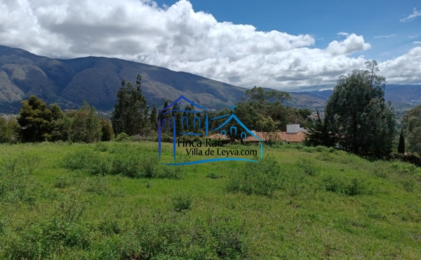 vista al cerro