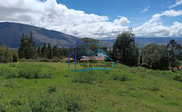 terreno plano