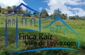 vista desde la entrada al predio