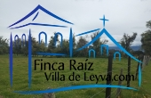 vista verde