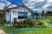 vista lateral