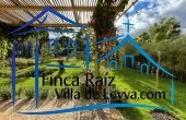 zona verde