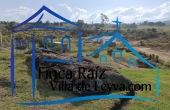 piedras zona verde