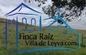 vista de costado