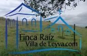 vista de la cerca