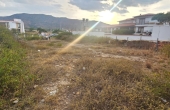 vista lateral