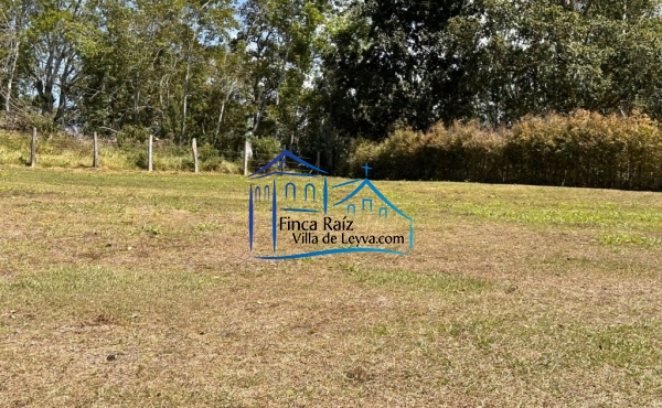vista lateral