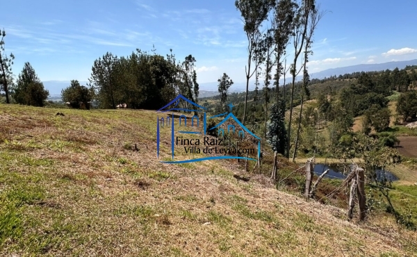 vista de una de las cercas de costado