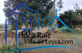 zona verde